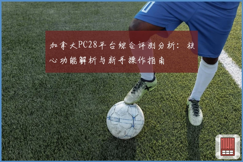 加拿大PC28平台综合评测分析：核心功能解析与新手操作指南
