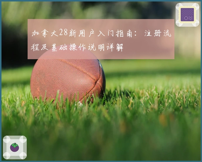 加拿大28新用户入门指南：注册流程及基础操作说明详解
