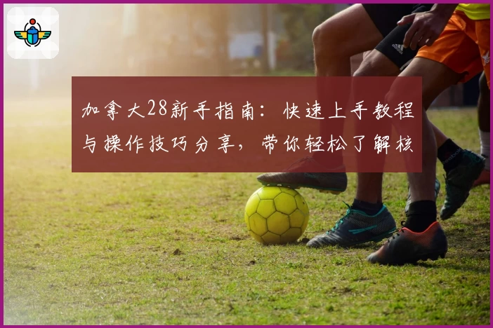 加拿大28新手指南：快速上手教程与操作技巧分享，带你轻松了解核心玩法与使用体验