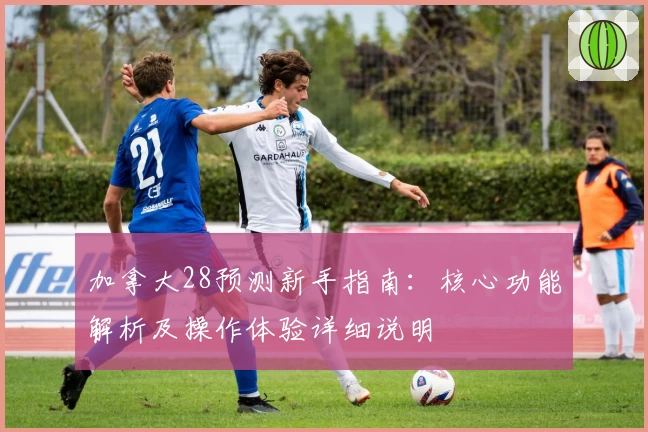 加拿大28预测新手指南：核心功能解析及操作体验详细说明