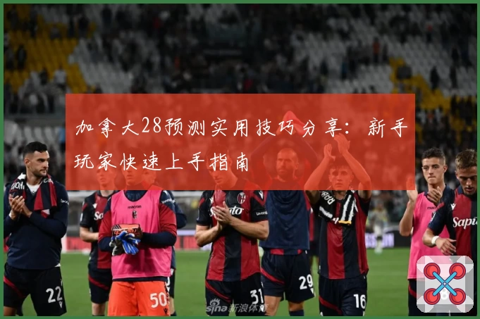 加拿大28预测实用技巧分享：新手玩家快速上手指南