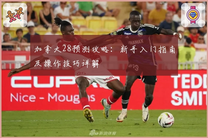 加拿大28预测攻略:新手入门指南及操作技巧详解