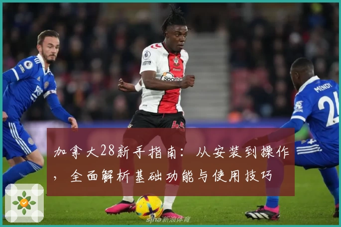 加拿大28新手指南：从安装到操作，全面解析基础功能与使用技巧