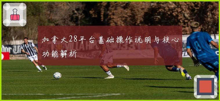 加拿大28平台基础操作说明与核心功能解析