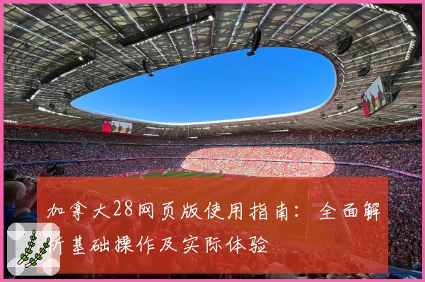 加拿大28网页版使用指南：全面解析基础操作及实际体验