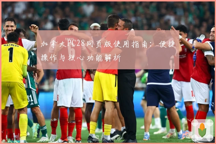 加拿大PC28网页版使用指南：便捷操作与核心功能解析