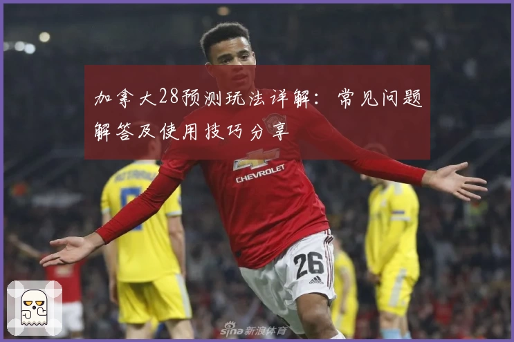 加拿大28预测玩法详解：常见问题解答及使用技巧分享